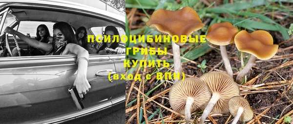 MDMA Богданович