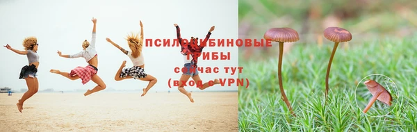 MDMA Богданович