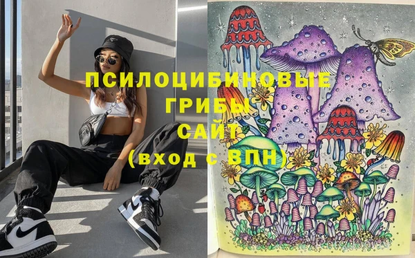 марихуана Богородицк