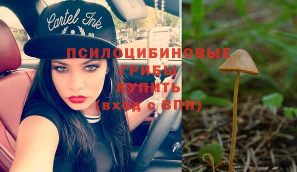 MDMA Богданович