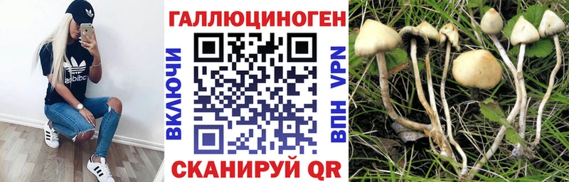 Галлюциногенные грибы Cubensis  ОМГ ОМГ ТОР  Онега 